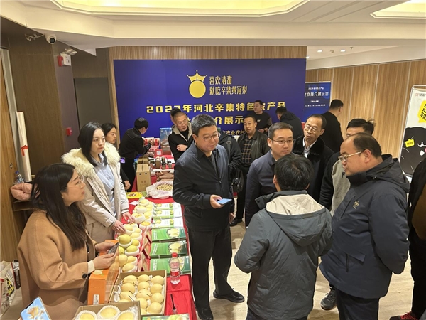 辛集市2023年特色农产品推介展示会在北京新发地顺利举办(图4)