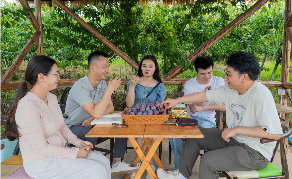 与“李”相约!广安区彭家乡的李子成熟了(图3)