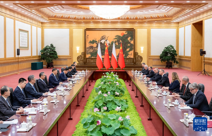习近平同波兰总统杜达会谈(图6)