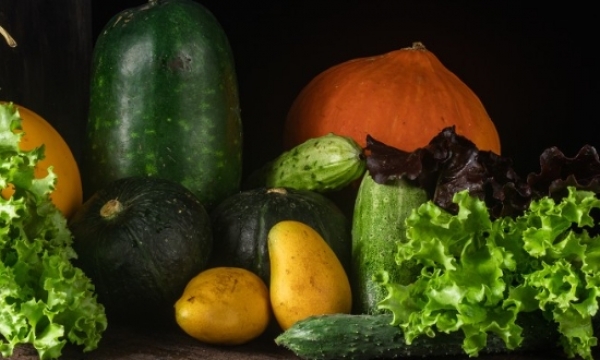 农产品出口持续保持活跃态势