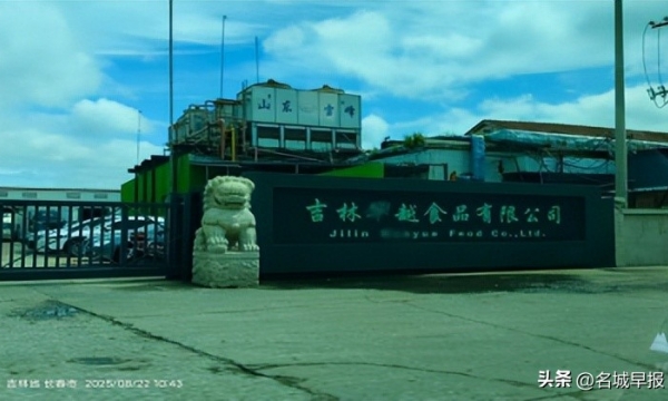 生猪检疫乱象深度调查：多环节失守致未检猪肉流向餐桌，监管漏洞